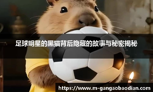 足球明星的黑猫背后隐藏的故事与秘密揭秘