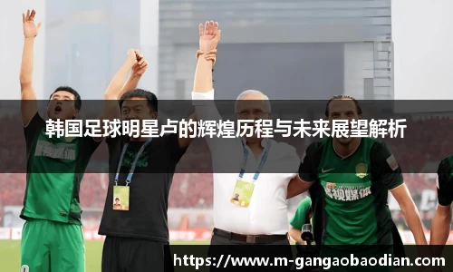 韩国足球明星卢的辉煌历程与未来展望解析
