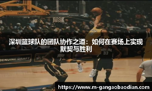 深圳篮球队的团队协作之道：如何在赛场上实现默契与胜利